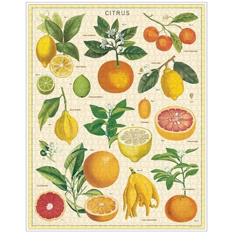 Citrus Jigsaw Puzzle Citrus Jigsaw Puzzle
