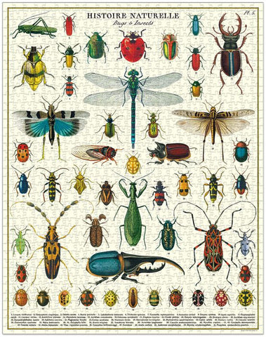 Bugs & Insects Jigsaw Puzzle Bugs & Insects Jigsaw Puzzle