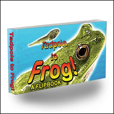 Tadpole to Frog Flipbook Tadpole to Frog Flipbook