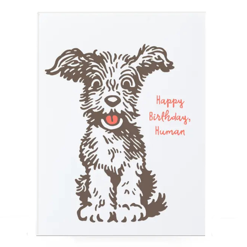 Birthday Doggie Card Birthday Doggie Card