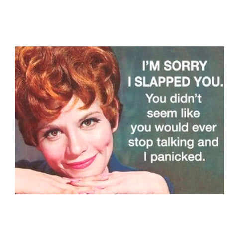 I'm Sorry I Slapped You Magnet I'm Sorry I Slapped You Magnet