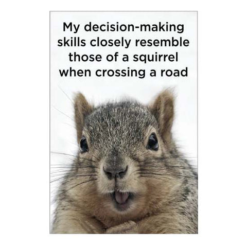 My Decision Making... Squirrel Magnet My Decision Making... Squirrel Magnet