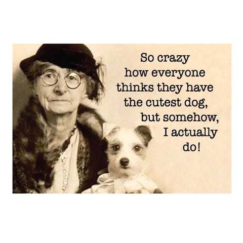 So Crazy How ...Cutest Dog Magnet So Crazy How ...Cutest Dog Magnet