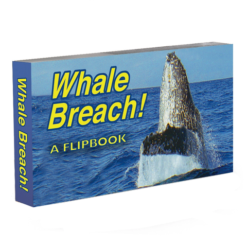 Whale Breach Flipbook Whale Breach Flipbook
