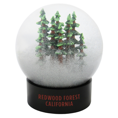 Redwood Forest California Fog Globe Redwood Forest California Fog Globe