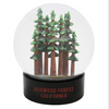 Redwood Forest California Fog Globe