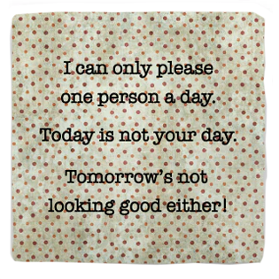 Please Coaster Please Coaster