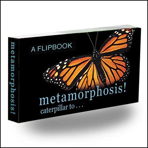 Butterfly Metamorphosis Flipbook