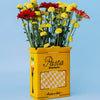Pasta Box Ceramic Vase