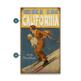 Ski In Downhill Pair Custom Sign