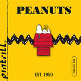 Snoopy & Woodstock House Pin