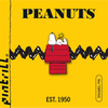 Snoopy & Woodstock House Pin