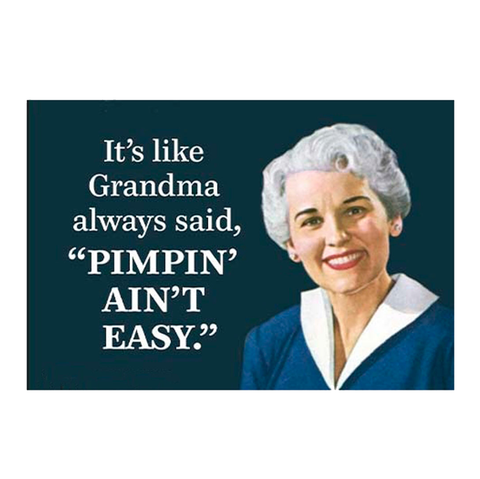 It's Like Grandma Always Said Magnet