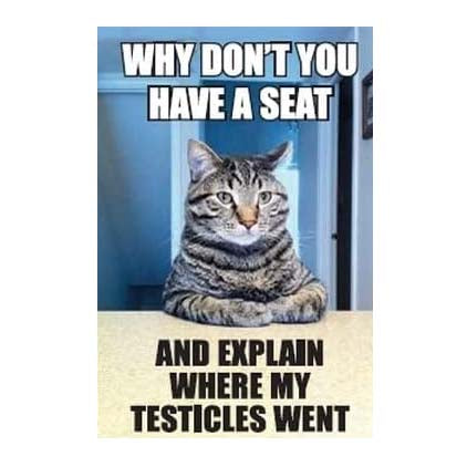 Why Don't You Have a Seat Magnet